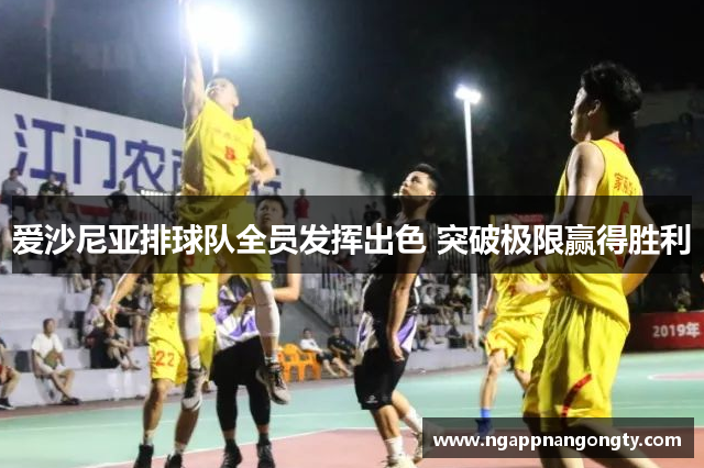 爱沙尼亚排球队全员发挥出色 突破极限赢得胜利