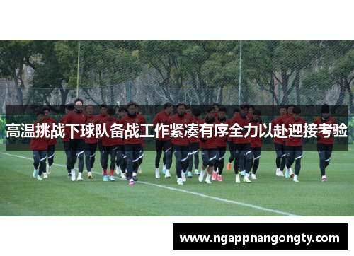 高温挑战下球队备战工作紧凑有序全力以赴迎接考验