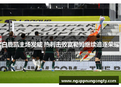 白鹿凯主场发威 热刺击败富勒姆继续追逐荣耀