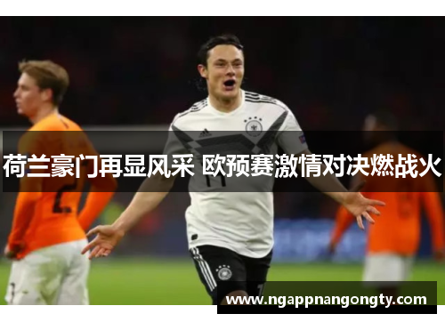 荷兰豪门再显风采 欧预赛激情对决燃战火