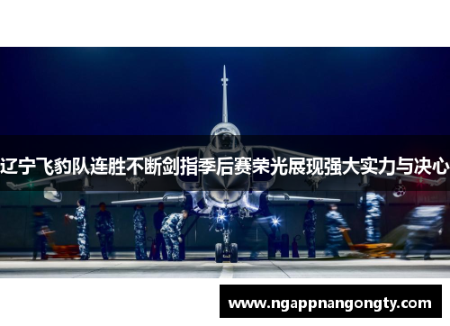 辽宁飞豹队连胜不断剑指季后赛荣光展现强大实力与决心