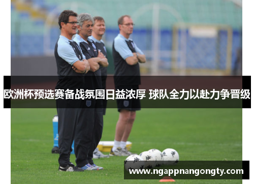 欧洲杯预选赛备战氛围日益浓厚 球队全力以赴力争晋级