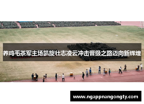 养鸡毛茶军主场凯旋壮志凌云冲击晋级之路迈向新辉煌