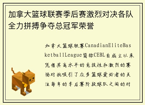 加拿大篮球联赛季后赛激烈对决各队全力拼搏争夺总冠军荣誉