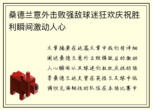 桑德兰意外击败强敌球迷狂欢庆祝胜利瞬间激动人心